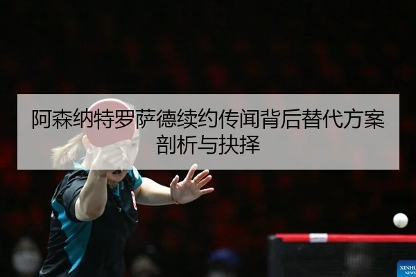 a-sen-na-te-luo-sa-de-xu-yue-chuan-wen-bei-hou-ti-dai-fang-an-pou-xi-yu-jue-ze-2-125.jpg